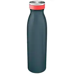 Material BOTELLA LEITZ COSY 500 ML. GRIS (90160089)