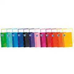 RECAMBIO OXFORD EUROPEANBOOK ENCOLADO A4 80HJ 90GRS 5X5 8 COLORES (100580586)