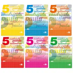 BLOC LIDERPAPEL 4º PAUTAGUIA TAPA CARTONCILLO 40 HJ 80 GR CUADRO PAUTADO 4 MM 51705