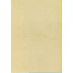 PAPEL TEXTURA HABANA 200G 10H A4 APLI T11960