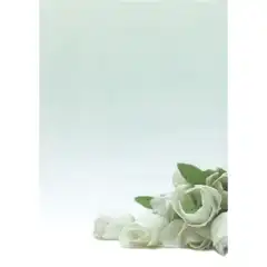 PAPEL TEMATICO FLOR BLANCA 90GRS 20HJ A4 APLI (12126)