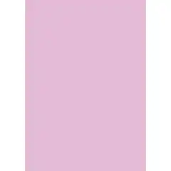 Material PAPEL COLOR APLI 120 GRS.10 HOJAS ROSA