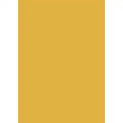 Material PAPEL COLOR APLI 120 GRS.10 HOJAS NARANJA