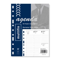 RECAMBIO ANUAL 3002 SV MULTIFIN 411050026