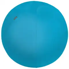BALÓN DE ASIENTO ACTIVE DE 65 CM DE DIÁMETRO LEITZ ERGO COSY 52790061