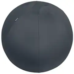 BALÓN DE ASIENTO ACTIVE DE 65 CM DE DIÁMETRO LEITZ ERGO COSY 52790089