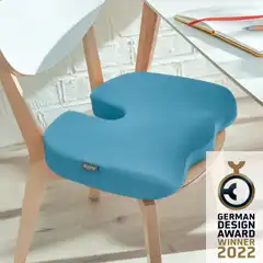 COJÍN DE ASIENTO ACTIVE LEITZ ERGO COSY 52840061 COJÍN DE ASIENTO ACTIVE LEITZ ERGO COSY 52840061