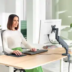 BRAZO PARA UN MONITOR LEITZ ERGO SPACESAVING 64890089 BRAZO PARA UN MONITOR LEITZ ERGO SPACESAVING 64890089