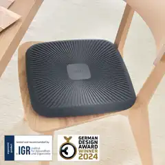 COJÍN DE ASIENTO ACTIVE LEITZ ERGO WOBBLE 65390089 COJÍN DE ASIENTO ACTIVE LEITZ ERGO WOBBLE 65390089