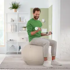 BALÓN DE ASIENTO ACTIVE DE 55CM ANTIDESLIZANTE LEITZ ERGO 65410085 BALÓN DE ASIENTO ACTIVE DE 55CM ANTIDESLIZANTE LEITZ ERGO 65410085
