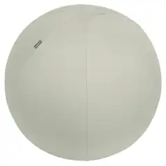 Material BALÓN DE ASIENTO ACTIVE DE 65CM ANTIDESLIZANTE LEITZ ERGO 65420085