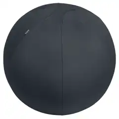 Material BALÓN DE ASIENTO ACTIVE DE 65CM ANTIDESLIZANTE LEITZ ERGO 65420089