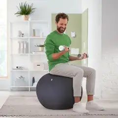 BALÓN DE ASIENTO ACTIVE DE 65CM ANTIDESLIZANTE LEITZ ERGO 65420089 BALÓN DE ASIENTO ACTIVE DE 65CM ANTIDESLIZANTE LEITZ ERGO 65420089