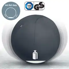 BALÓN DE ASIENTO ACTIVE DE 65CM ANTIDESLIZANTE LEITZ ERGO 65420089 BALÓN DE ASIENTO ACTIVE DE 65CM ANTIDESLIZANTE LEITZ ERGO 65420089