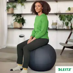 BALÓN DE ASIENTO ACTIVE DE 65CM ANTIDESLIZANTE LEITZ ERGO 65420089 BALÓN DE ASIENTO ACTIVE DE 65CM ANTIDESLIZANTE LEITZ ERGO 65420089