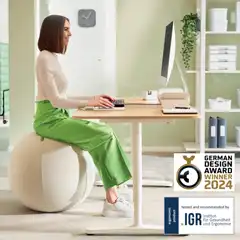 BALÓN DE ASIENTO ACTIVE DE 75CM ANTIDESLIZANTE LEITZ ERGO 65430085 BALÓN DE ASIENTO ACTIVE DE 75CM ANTIDESLIZANTE LEITZ ERGO 65430085