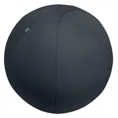 Material BALÓN DE ASIENTO ACTIVE DE 75CM ANTIDESLIZANTE LEITZ ERGO 65430089