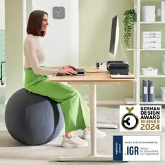 BALÓN DE ASIENTO ACTIVE DE 75CM ANTIDESLIZANTE LEITZ ERGO 65430089 BALÓN DE ASIENTO ACTIVE DE 75CM ANTIDESLIZANTE LEITZ ERGO 65430089