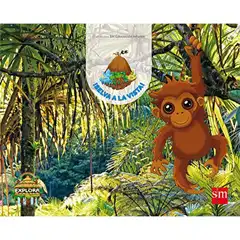 PROYECTO EXPLORA. SELVA A LA VISTA 4 AÑOS 2º TRIMESTRE 17 GRUPO SM 9788467594263