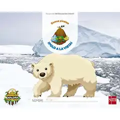PROYECO EXPLORA ¡POLO A LA VISTA! (SOMOS PIRATAS NIVEL 3) 18 GRUPO SM 9788467594287