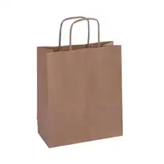 BOLSA KRAFT MARRÓN 18x8x21 50U APLI REF. 101852
