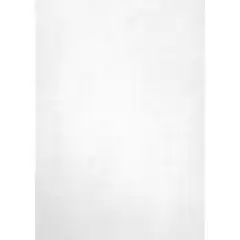 BLISTER PAPEL VERJURADO BLANCO 220G.20H APLI REF. 12130