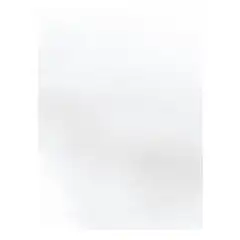 BLISTER PAPEL COPO DE NIEVE 90G. 20H. APLI REF. 16603