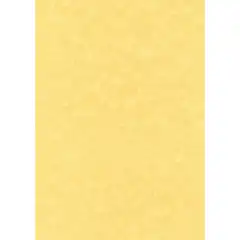 CAJA PAPEL TEXT.PERGAM ORO 165G.50H APLI REF. PCL1676