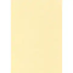 CAJA PAPEL TEXT.PERG CHAMPAN 165G.50H APLI REF. PCL1677