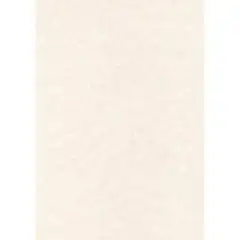 CAJA PAPEL TEXT.PERGAMINO GRIS 165G.50H APLI REF. PCL1678