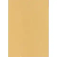 BLISTER PAPEL TEXTURA KRAFT 95G.100H.A4 APLI REF. PCL1684