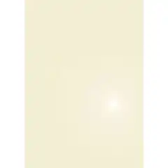BLISTER PAPEL METALIZADO CHAMPAN 130G.50H APLI REF. PMA4072