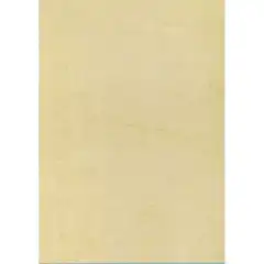BLISTER PAPEL BUFFALO HABANO 90G.25H APLI REF. SCL7850