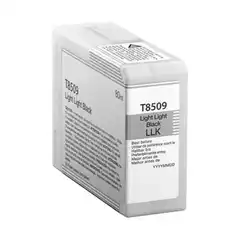 EPSON C13T850900 (C13T850900) TINTA ORIGINAL NEGRO CLARO 26971