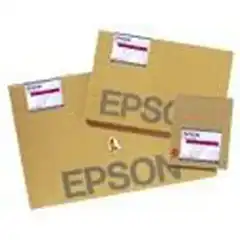 EPSON GF PAPEL PREMIUM LUSTER PHOTO A3 -  100 HOJAS - 260G/M2 - PARA STYLUS PRO 3800/3880/4000/4800/4880/ 7600/7800/7880/7900/9600/9800/9880/9900/10600/ 1188