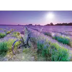 PUZZLE EDUCA BORRAS 1000 PIEZAS BICLETA CAMPO LAVANDA 8412668192485