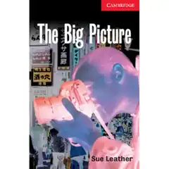 CER1: BIG PICTURE