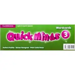QUICK MINDS 3 WORDCARDS