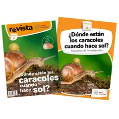 DONDE ESTAN CARACOLES CUANDO HACE SOL EDEBE 9788468337340