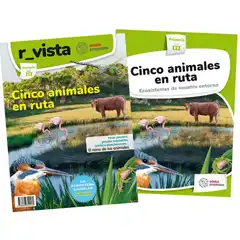 CINCO ANIMALES EN RUTA (CAS) EDEBE 9788468342160
