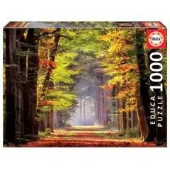 PUZZLE EDUCA 1000 PIEZAS PASEO OTOÃ‘AL 8412668190214