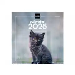 CALENDARIO PARED FINOCAM GATITOS 300X300MM CATALAN 780313825