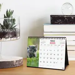 CALENDARIO SOBREMESA FINOCAM GATITOS 210X150 MM CATALAN 780333825