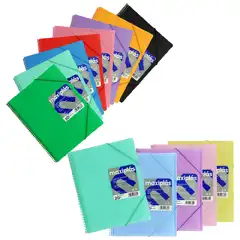 MAXIPLAS PP TRANSLUCIDO RIGIDO A4 60 FUNDAS CON SOBRE TRANSPARENTE GRAFOPLAS 39836000