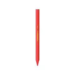 PLASTIDECOR ESTUCHE DE 12 UNIDADES BIC 11904 8757702 PLASTIDECOR ESTUCHE DE 12 UNIDADES BIC 11904 8757702