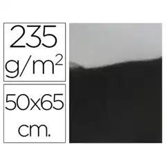 CARTULINA LIDERPAPEL 50X65 CM 235G/M2 METALIZADA PLATA CM01 14507