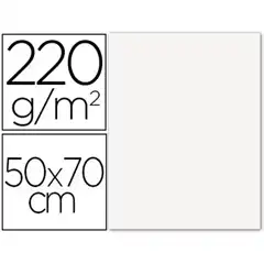 CARTULINA LISA/RUGOSA 2 TEXTURAS 50X70 CM 220G/M2 BLANCO F42450700 150445