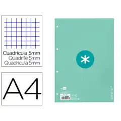 RECAMBIO A4 ANTARTIK 80 HJ 90G/M2 CUADRO 5 MM 4 TALADROS 1 BANDA MARCO COLOR MENTA RX06 163540