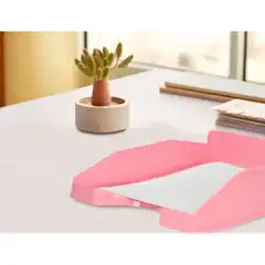 BANDEJA SOBREMESA PLASTICO Q-CONNECT ROSA PASTEL OPACO 240X70X340MM KF17161 169175 BANDEJA SOBREMESA PLASTICO Q-CONNECT ROSA PASTEL OPACO 240X70X340MM KF17161 169175