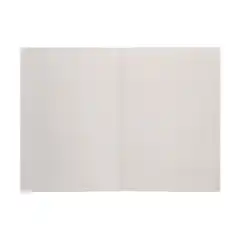 SUBCARPETA LIDERPAPEL Fº KRAFT INTERIOR BLANCO 240G/M2 SC24 23657